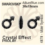 スワロフスキー Male Symbol ファンシーストーン (4878) 18x11.5mm - クリスタル 裏面プラチナフォイル