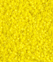 Opaque Yellow