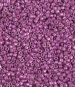 Galvanized SF Magenta