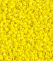 Opaque Yellow