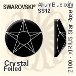 Swarovski XIRIUS Star Rose Flat Back Hotfix (2100) SS12 - Clear Crystal With Silver Foiling