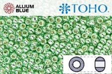 TOHO ラウンド Seed ビーズ (RR3-PF570) 3/0 ラウンド Extra Large - PermaFinish - Galvanized Mint Green