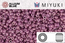 MIYUKI Round Rocailles Seed Beads (RR8-1867) 8/0 Large - Opaque Dark Orchid Luster