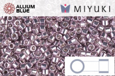 MIYUKI Delica® Seed Beads (DB0419) 11/0 Round - Galvanized Dusty Orchid